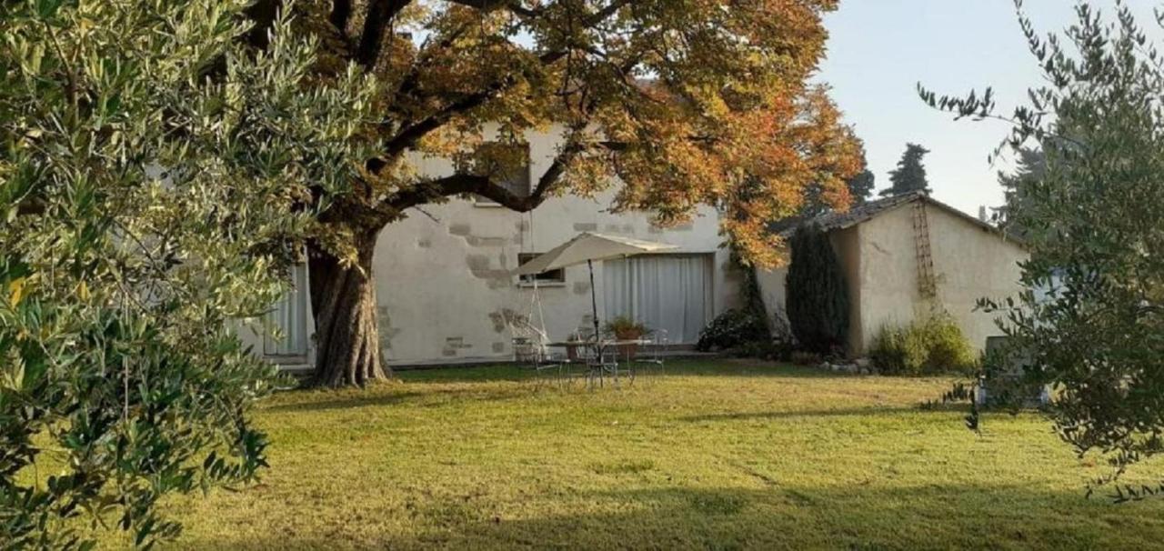 Villa Le Petit Mas En Provence Avec Piscine Barbentane Exterior foto